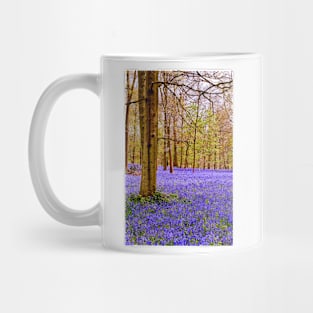 Bluebell Woods Greys Court England UK Mug